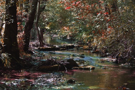 Sessa - sentiero dell'acqua ripensata (CH)